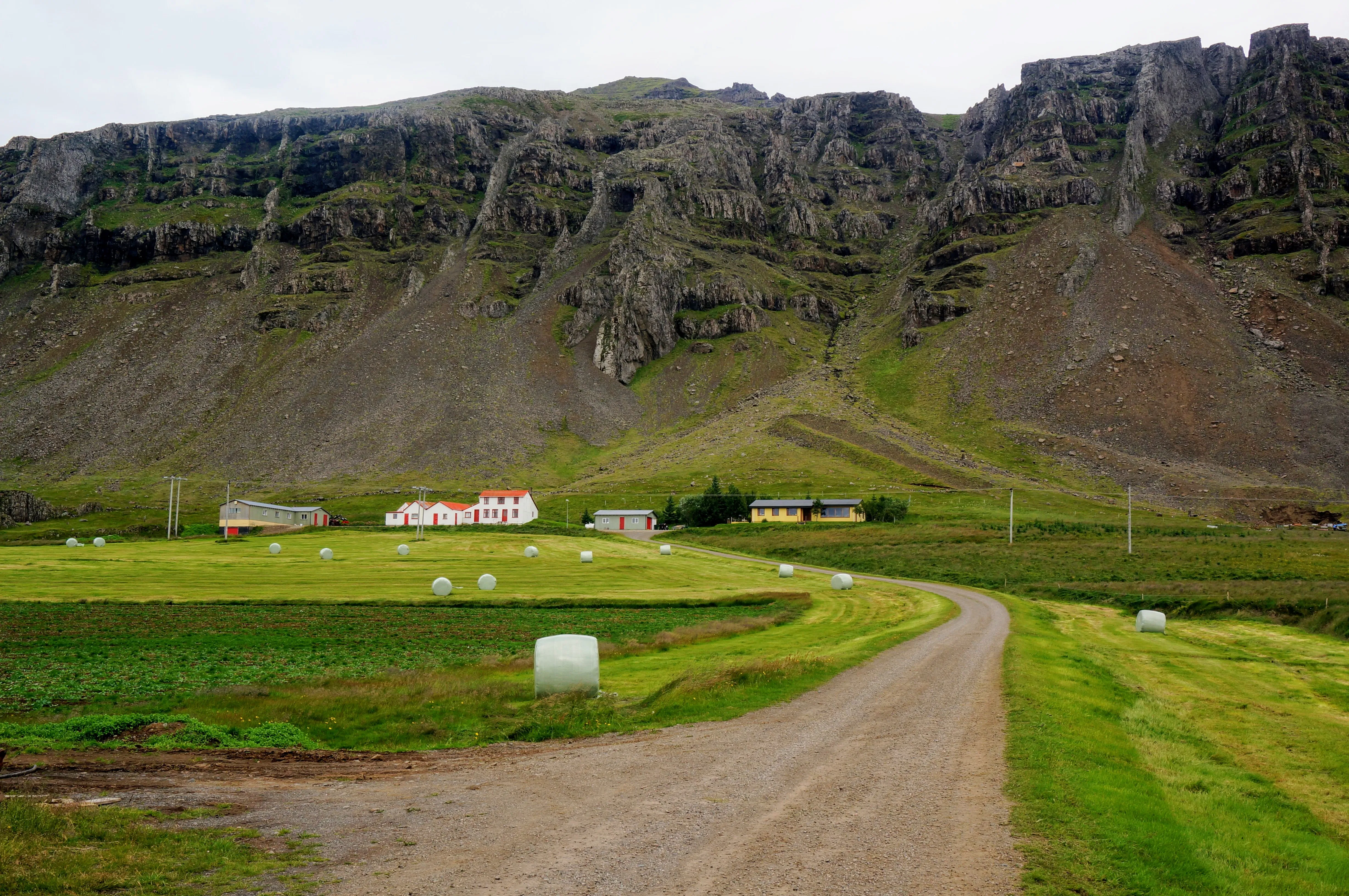 east farm.DMSMS23P.jpg