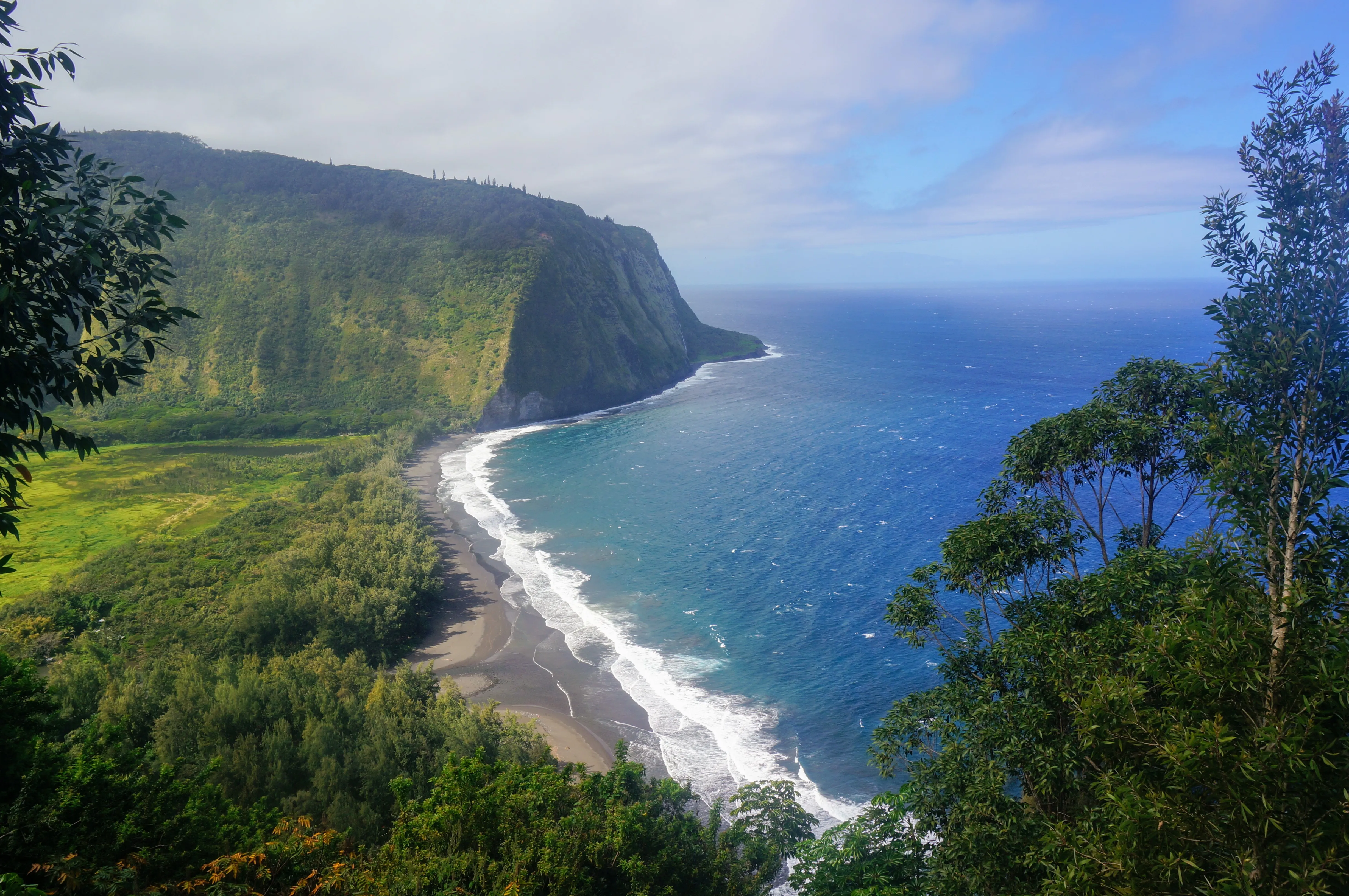 forest beach.d4j Rwvi.jpg
