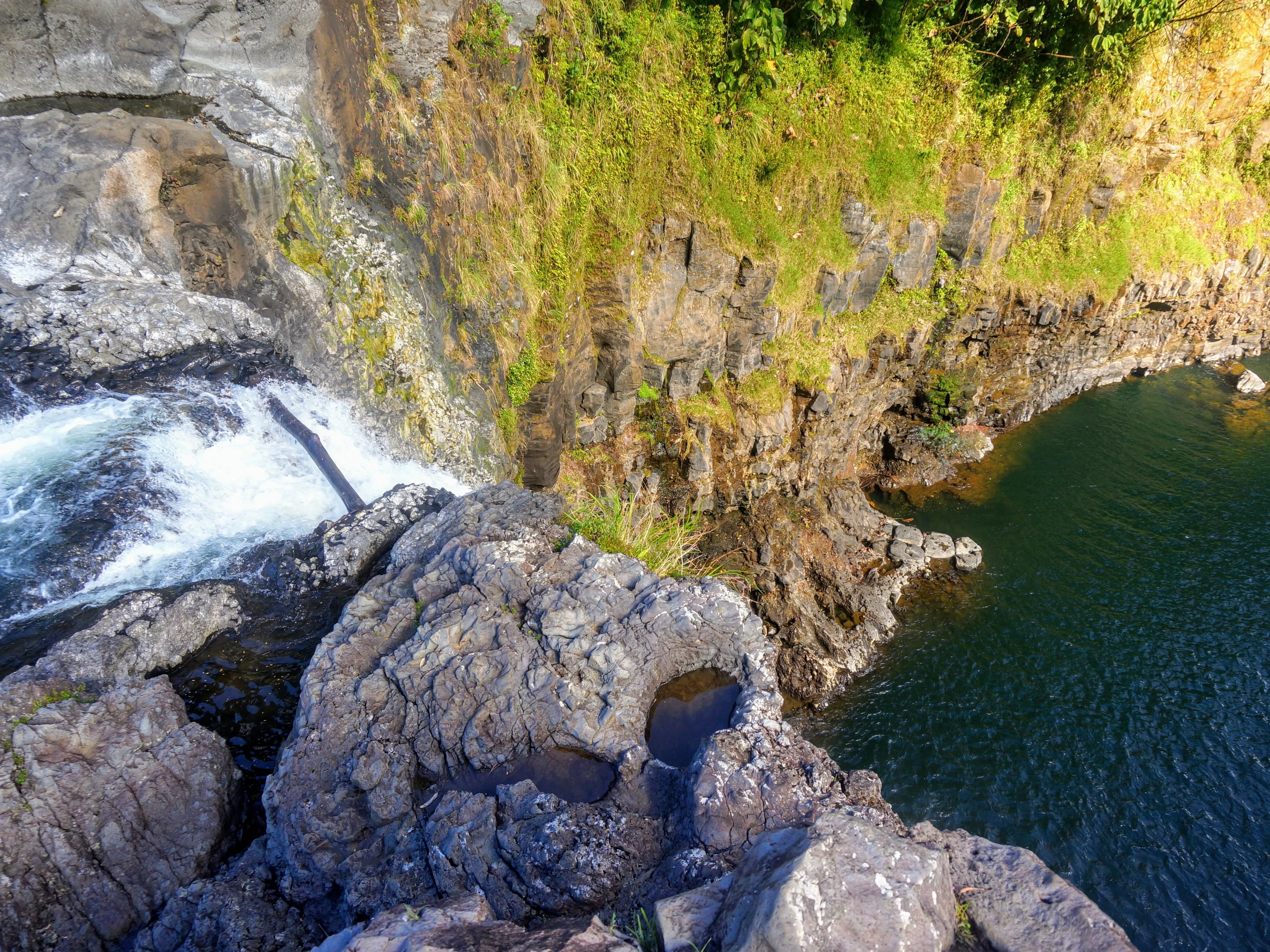 forest waterfall.4yd2hdqT.jpg