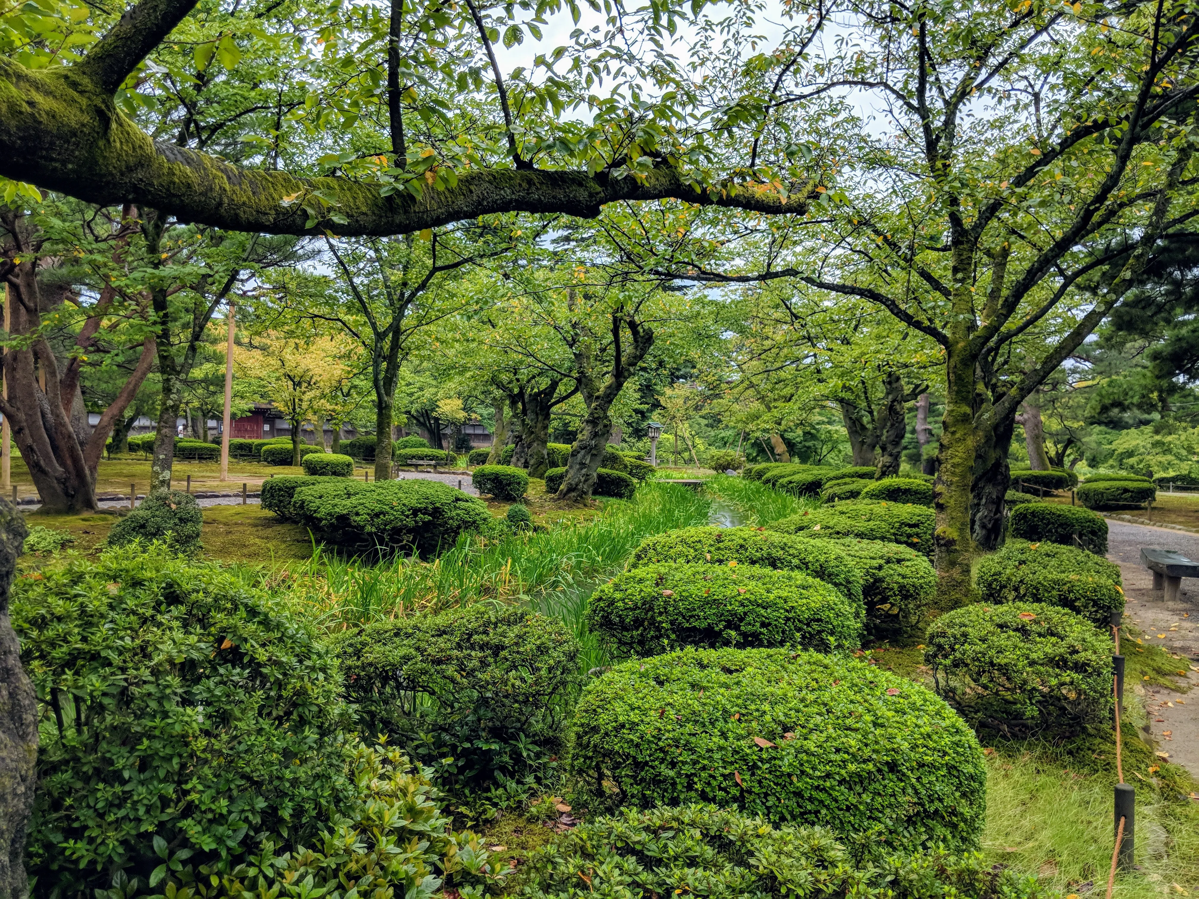 kanazawa garden shrubs.B1QKpzhj.jpg