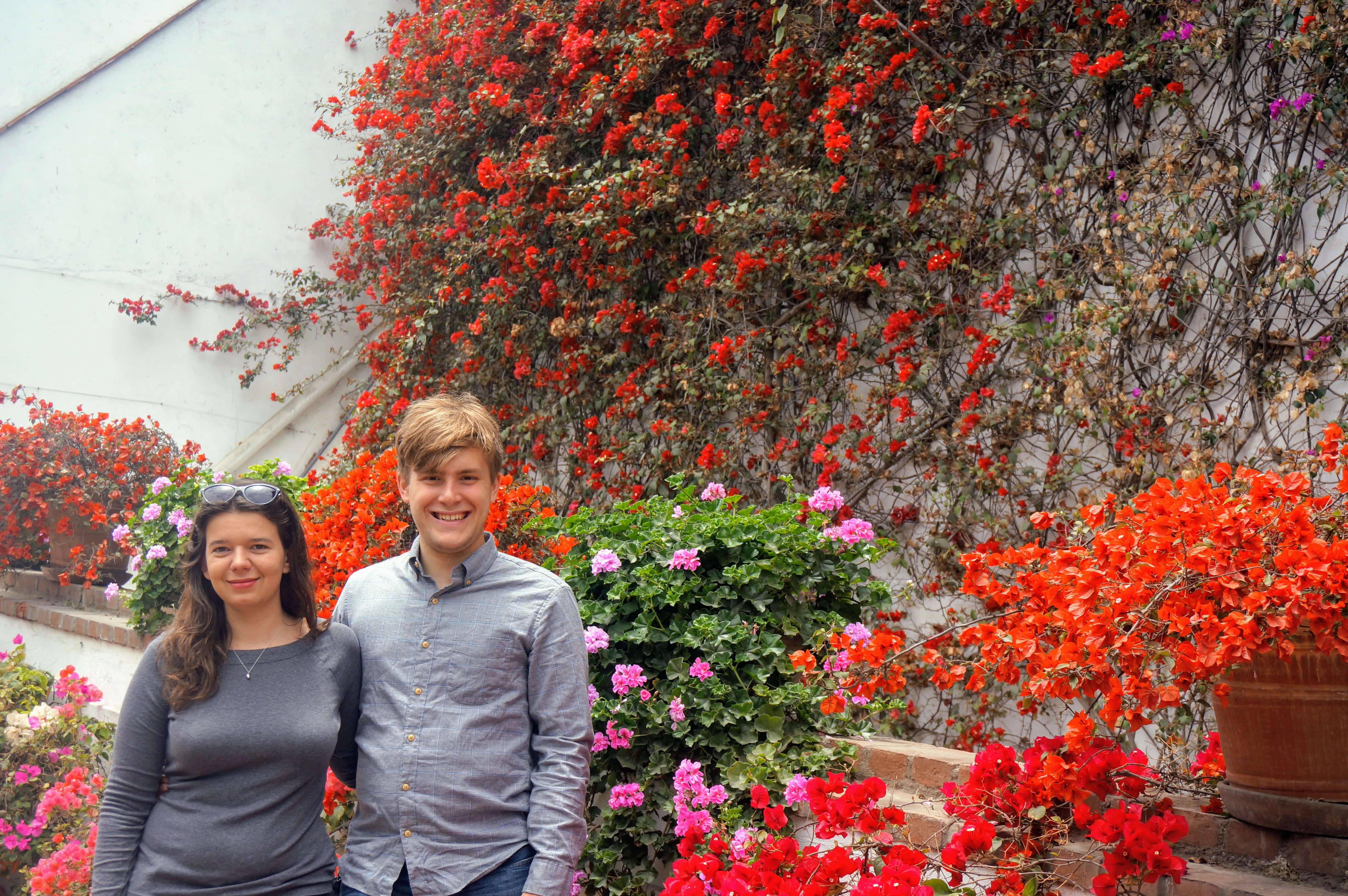 lima museum flowers.Dw04XGq9.jpg
