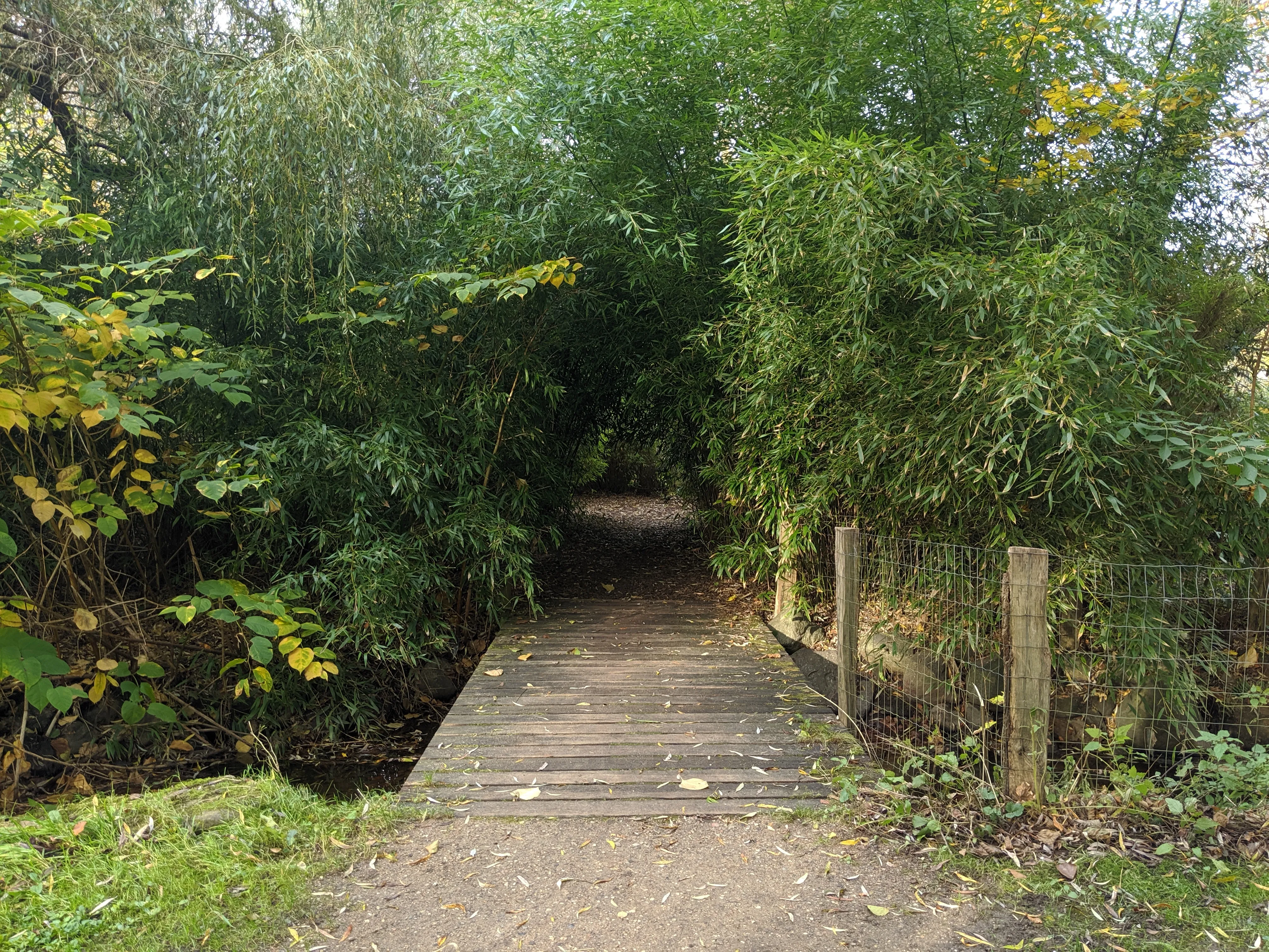 louisiana lake passageway.C4raBv_i.jpg