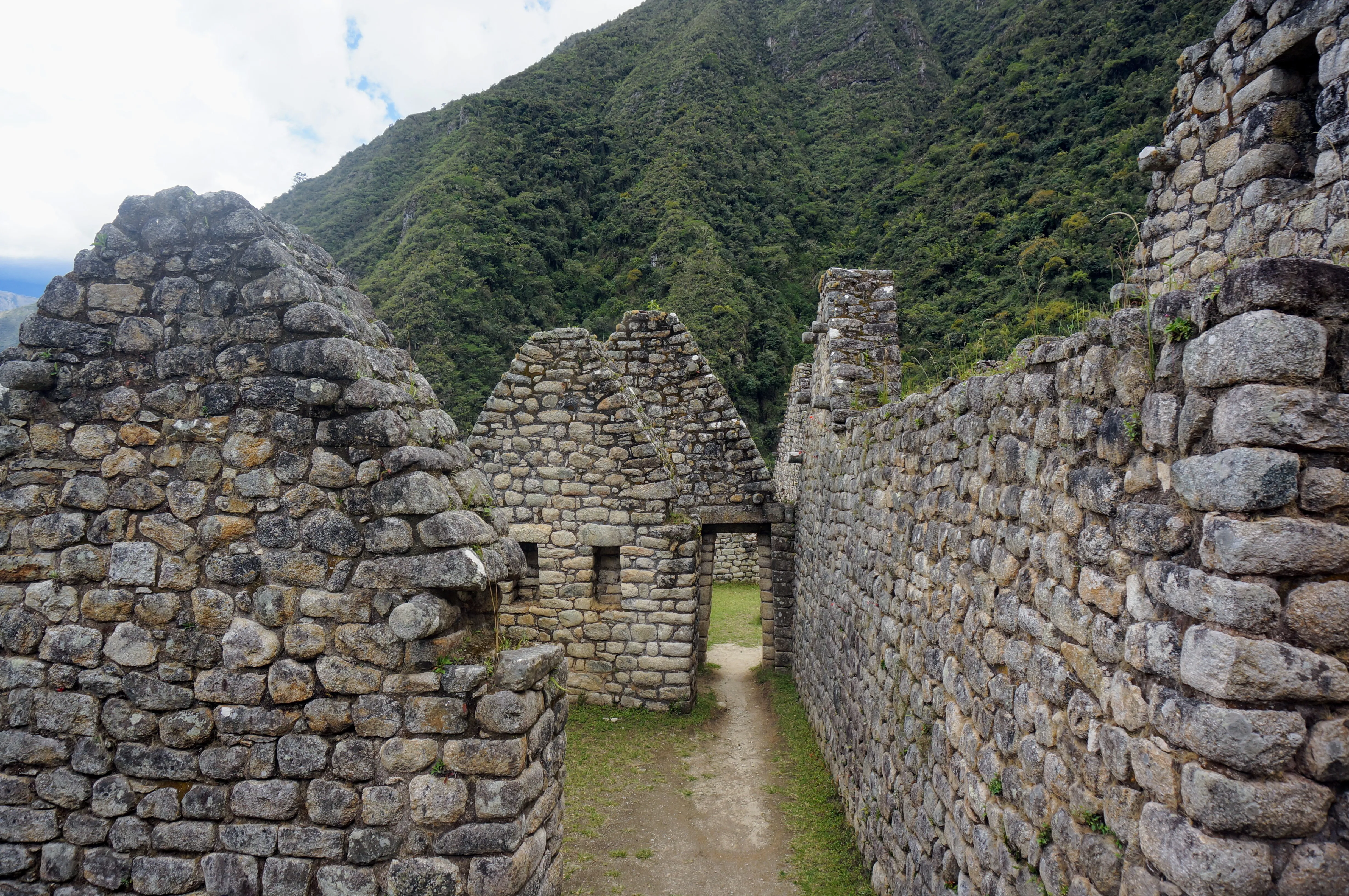 machu picchu hike ruins.D3HX4isX.jpg