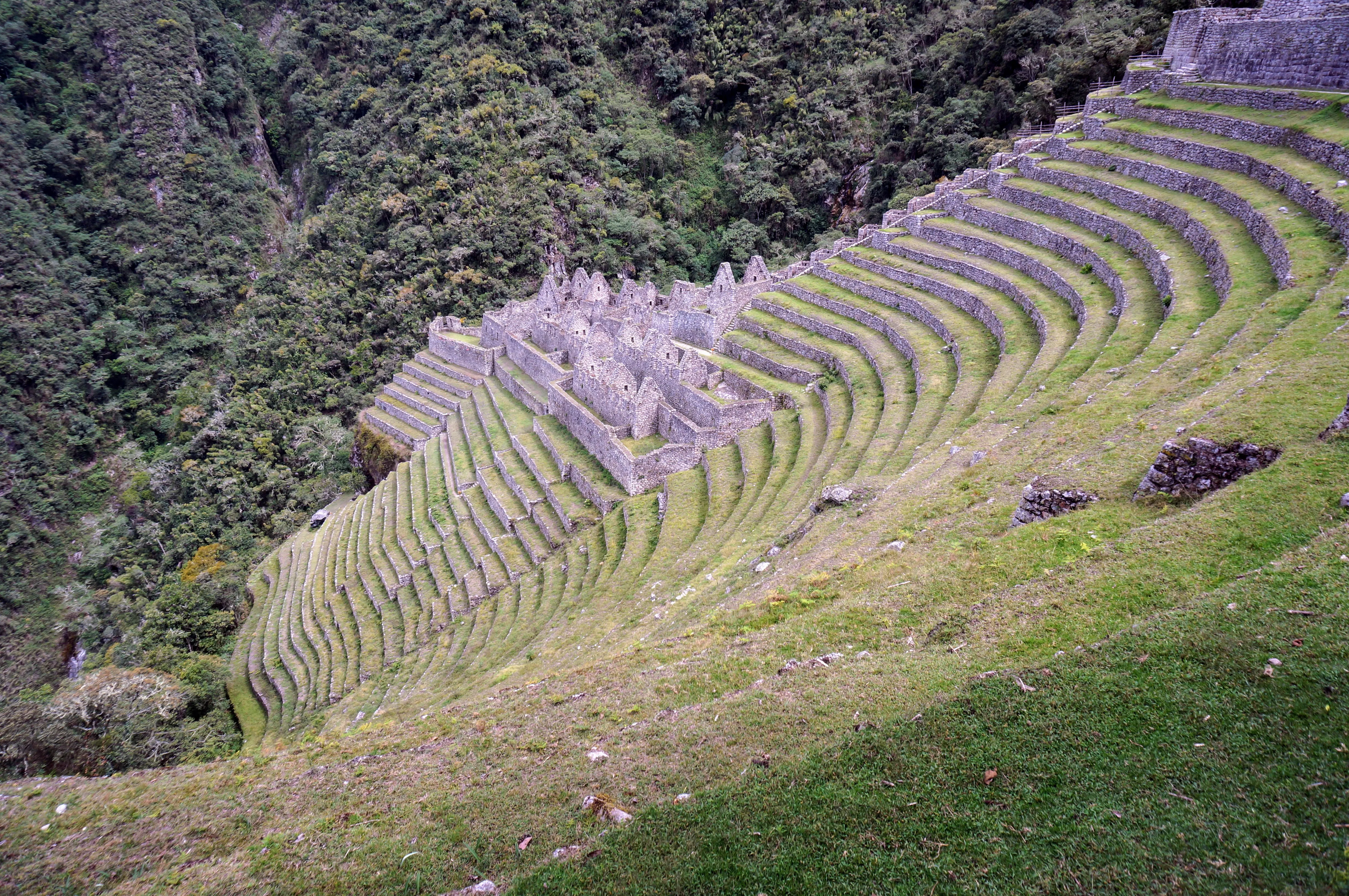 machu picchu hike terraces.DCQ0ZaMv.jpg