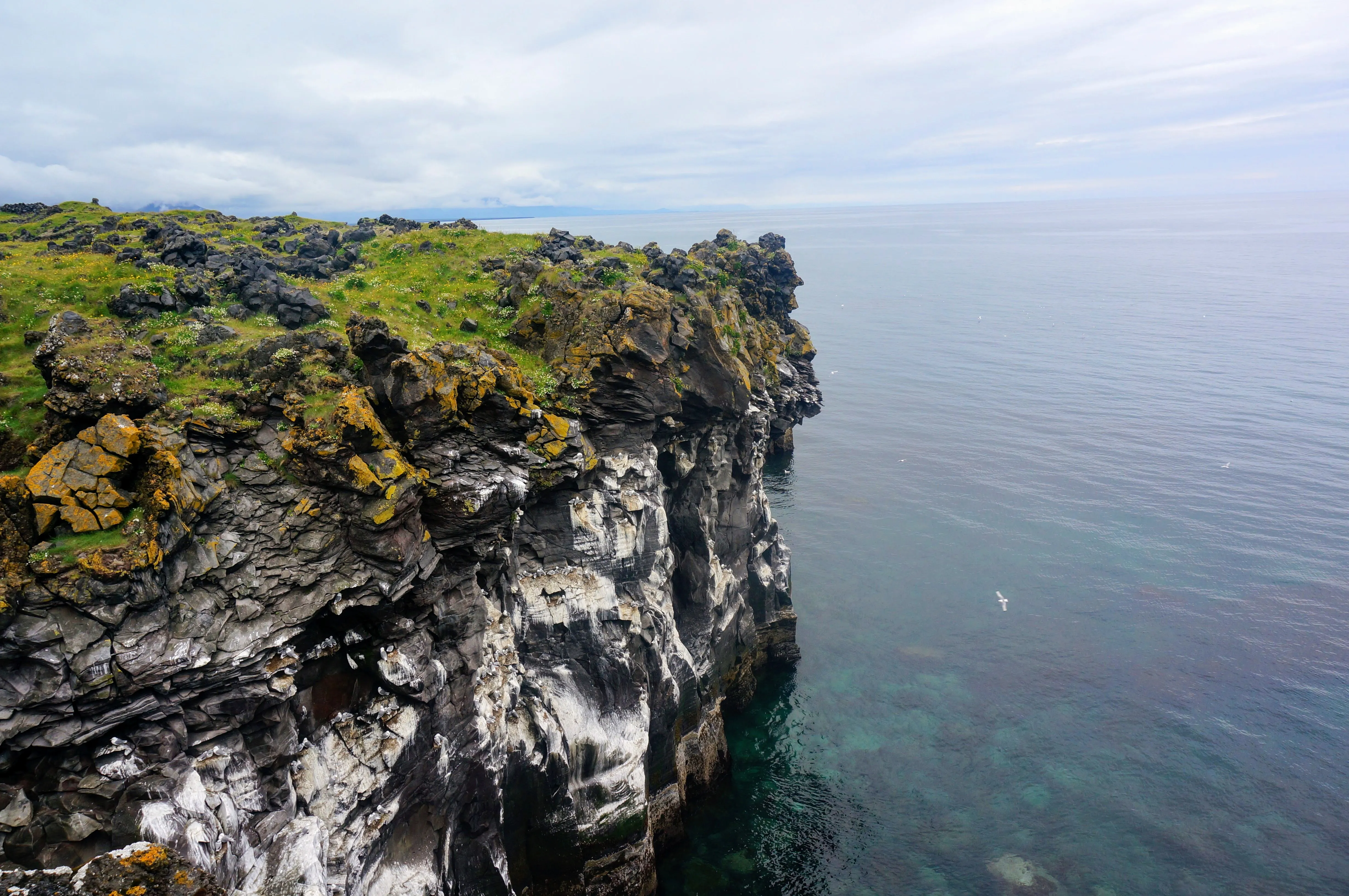 snaefellsnes hellnar cliff.D_vlOc5r.jpg
