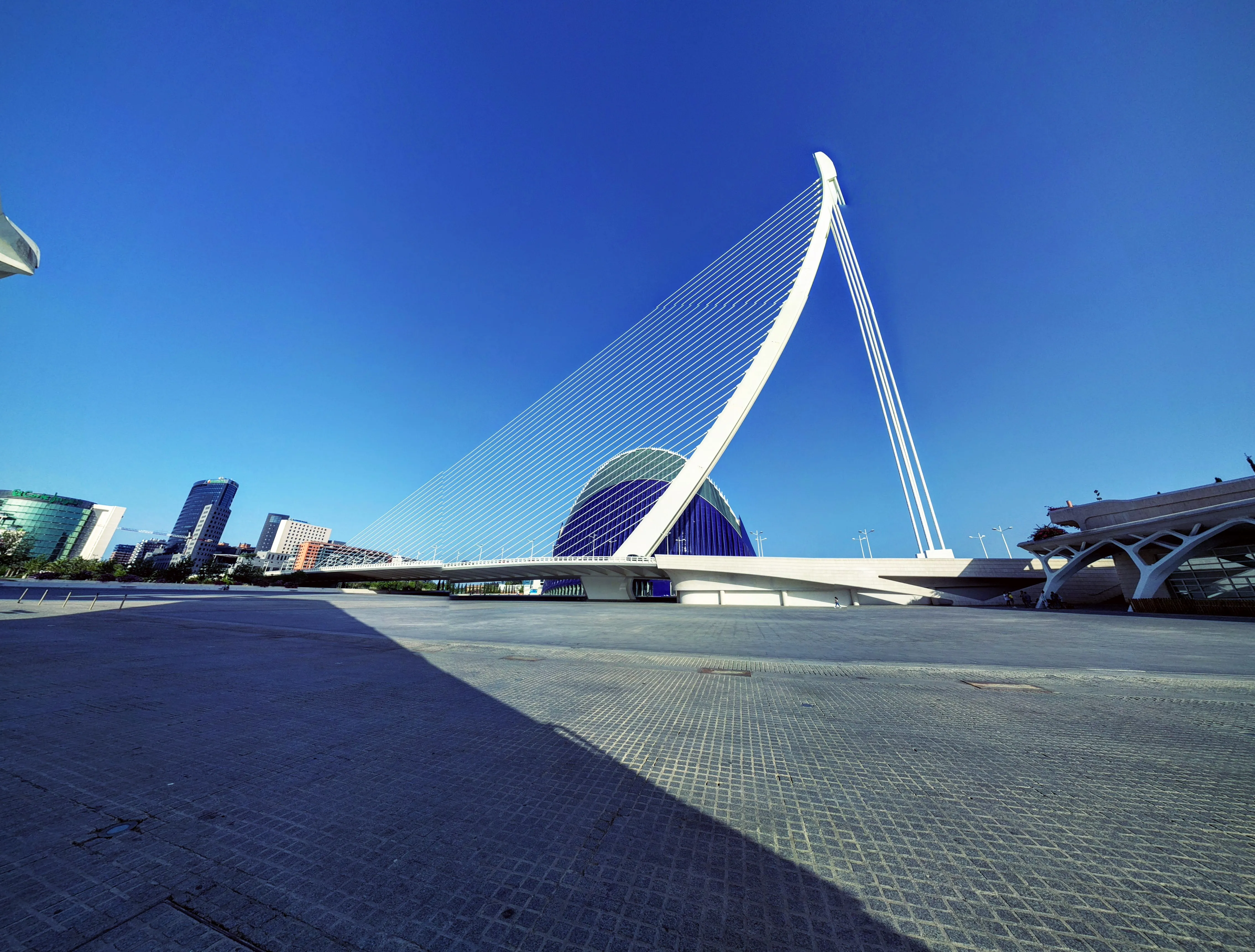 valencia bridge.CWUbKiIE.jpg