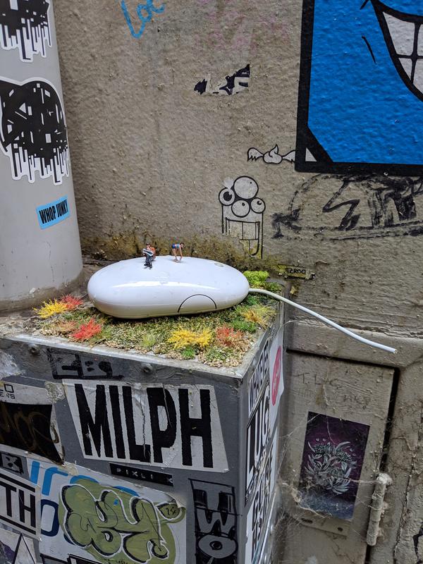 Melbourne mouse