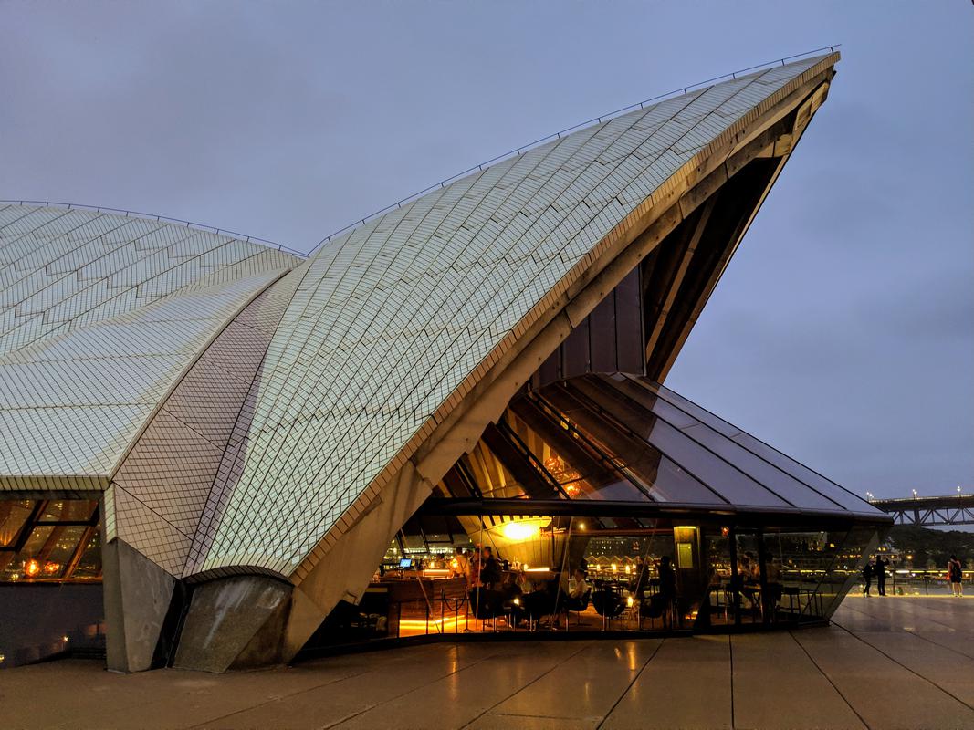 Bennelong profile