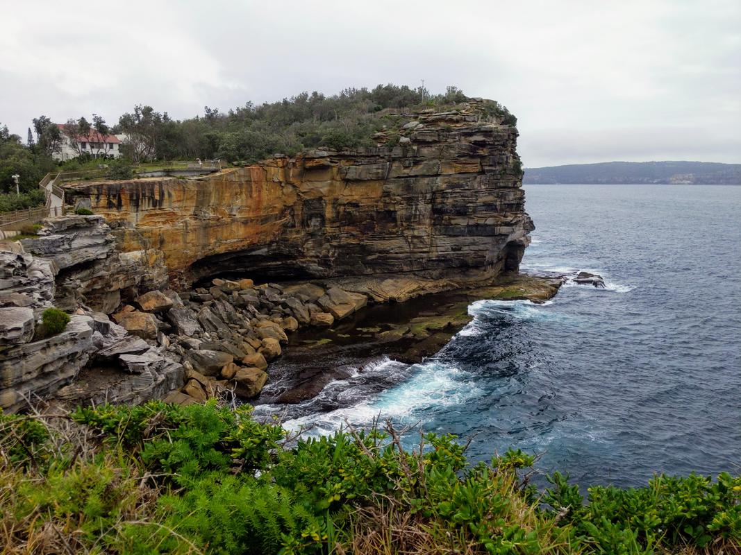 Watsons bay cliff