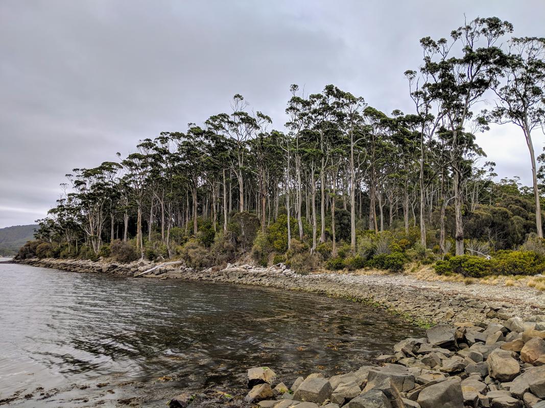 Port arthur rocky beach