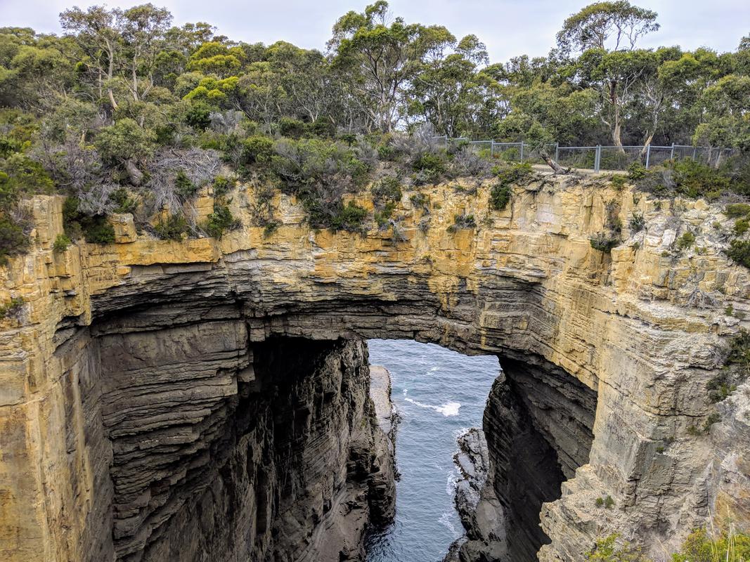 Tasman arch