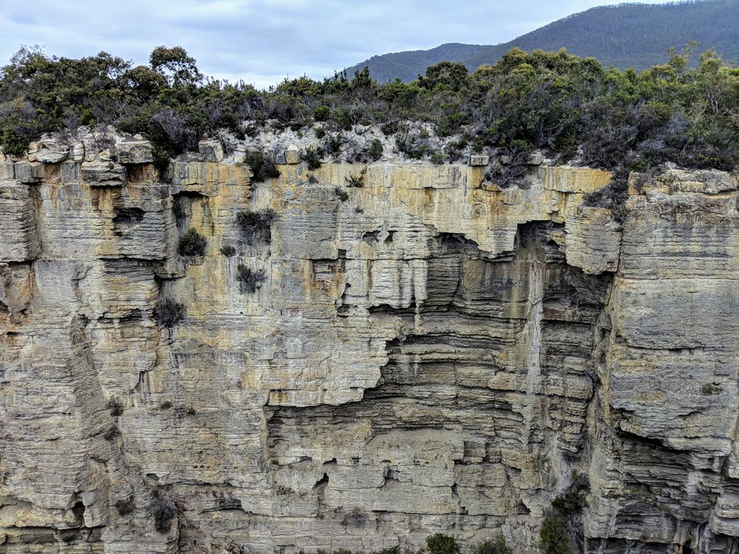 Tasman cliff
