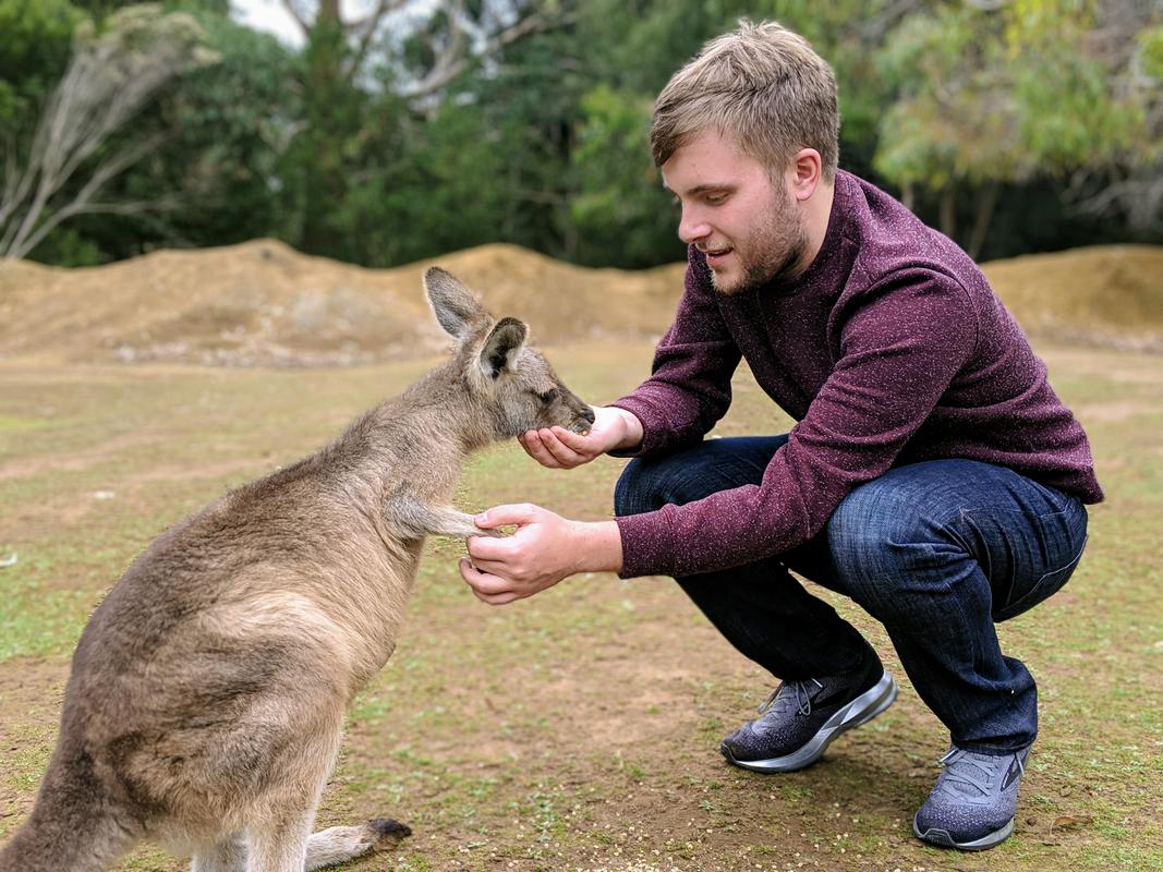 Unzoo dan feeding